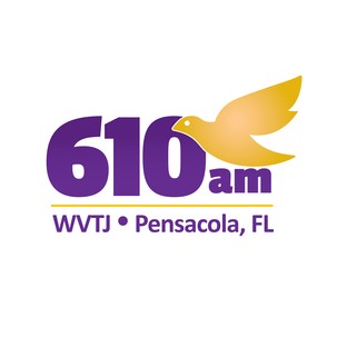 WVTJ Wilkins Radio logo