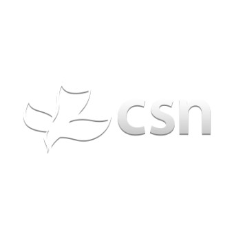 WGWS 88.1 CSN International logo