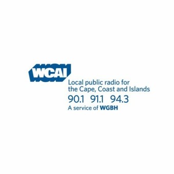 WNAN 91.1 FM logo