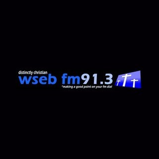 WSEB 91.3 FM logo
