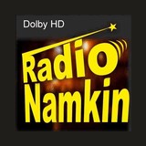 Radio Namkin logo