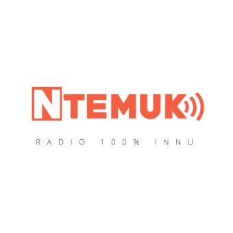 Ntemuk.com logo