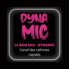 Lebonmix DYNAMIC logo