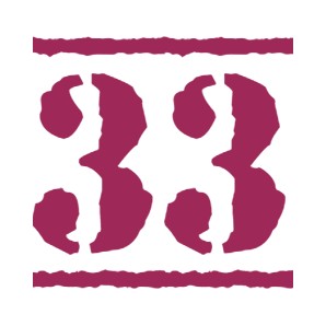 Radio Web 33 logo