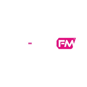 ViBE FM logo
