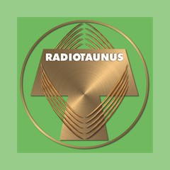 Radio Taunus logo