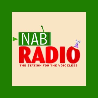 NAB RADIO logo