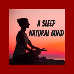 A SLEEP NATURAL MIND logo