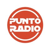 PUNTO RADIO FM logo
