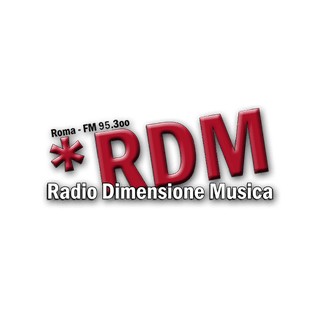 Radio Dimensione Musica 95.3 logo
