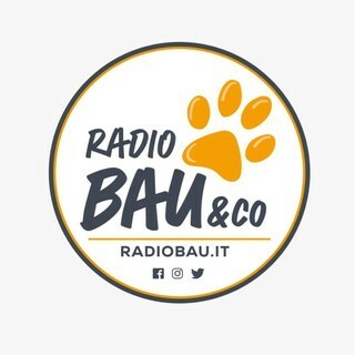Radio Bau & Co logo