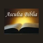 Biblia Audio in Limba Romana logo