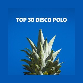 RMF Top 30 disco polo logo