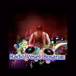 Radio Veseli Bosanac logo
