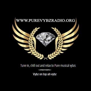 Pure Vybz Radio logo