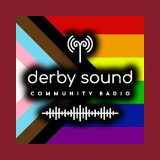 Derby Sound Community logo
