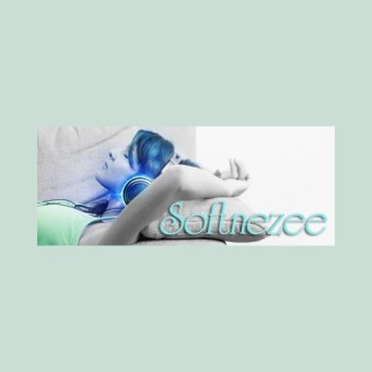 Softnezee logo