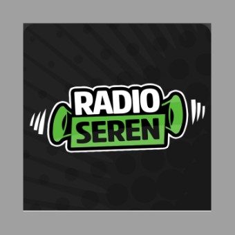 Radio Seren logo