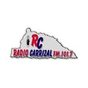 Radio Carrizal 101.7 logo