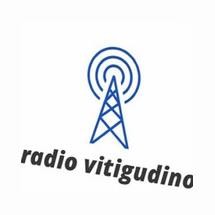 Radioviti logo