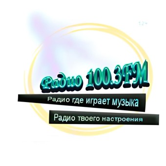 Радио 100.3FM logo