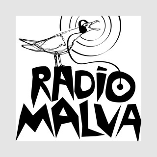 Radio Malva 104.9 FM logo