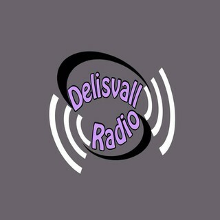 Delisvall Radio logo