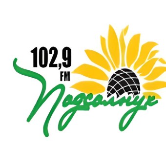 Радио Подсолнух logo