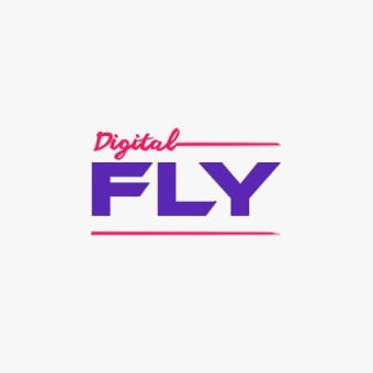 Digital Fly logo
