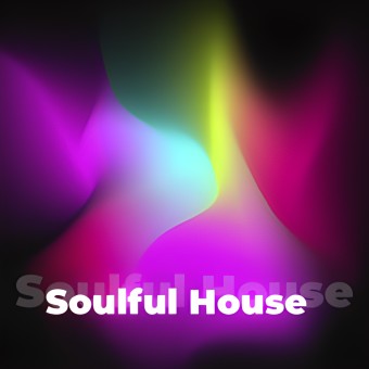 Soulful House - 101.ru logo