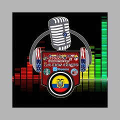 Ecuador Radio Ny logo
