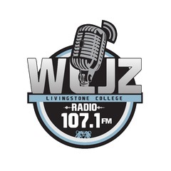 WLJZ 107.1 FM logo