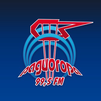 Радиогора logo