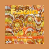 113.fm Hits 1974