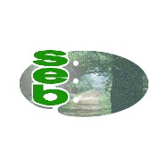 Sleepbot Environmental Broadcast logo