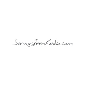 Springsteen Radio logo