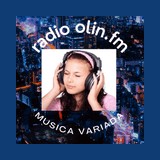 Radio En Linea FM logo