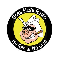 Boss Hogg Radio 1390 AM & 107.5 FM Avon Park logo