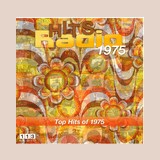 113.fm Hits 1975