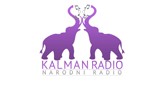 Kalman logo