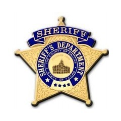Dallas County Sheriff and Fire logo