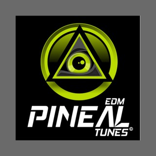 Pineal tunes logo