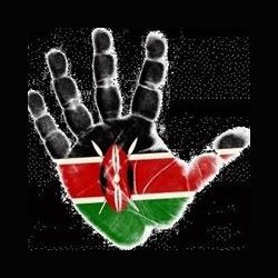Kenyan USA Vibe logo