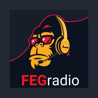 FEGradio logo