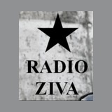 Ziva One logo