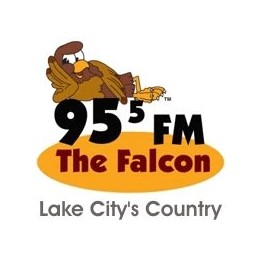 WDSR 95.5 FM The Falcon & 1340 logo