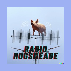 Radio Hogsmeade logo