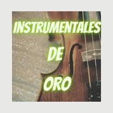 Instrumentales de Oro Radio logo