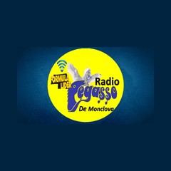 Radio Pegasso de Monclova logo