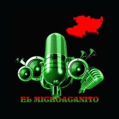 El Michoacanito logo